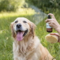 Preview: GREENDOOR Fellpflegespray für Hunde | Seidiger Glanz & leichte Kämmbarkeit | 250 ml