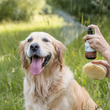Preview: GREENDOOR Fellpflegespray für Hunde | Seidiger Glanz & leichte Kämmbarkeit | 250 ml
