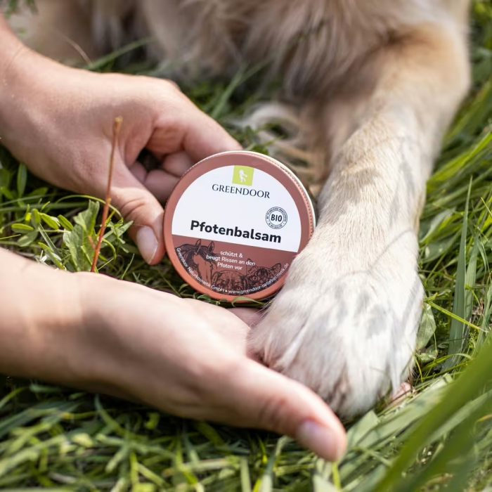 GREENDOOR Pfotenbalsam für Tiere | Natürlicher Pfotenschutz | 100 ml